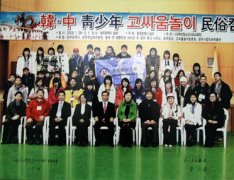 2008学生赴韩冬令营纪实