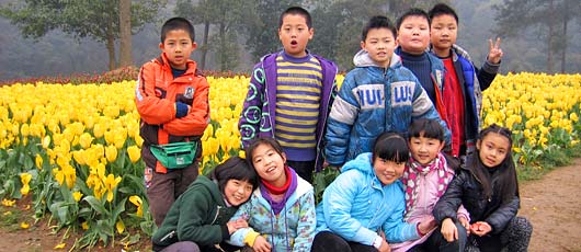 漫步郁金香的花海,感受欧洲的春天--小学部三年级同学春游石象湖