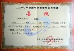 美视师生在2010年全国中学生数学能力竞赛中取得骄人佳绩