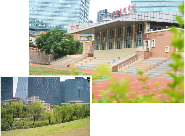 091935-7870.jpg 2024-09-19_143122.jpg