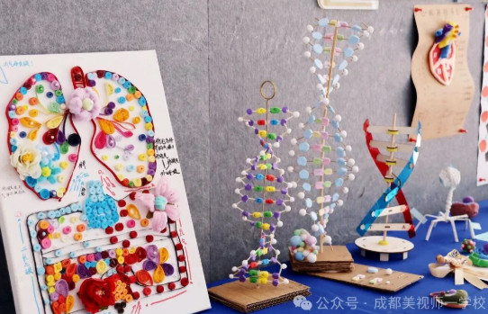 指尖上的生命艺术，思维中的科学光芒｜成都美视师一学校2026学科节生物模型比赛精彩回顾