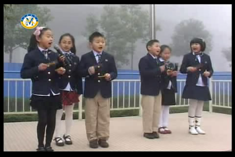 小学安全教育日宣传活动